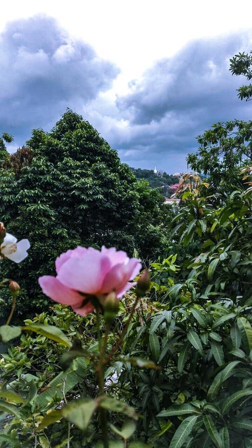 J Hostel Kandy Eksteriør bilde
